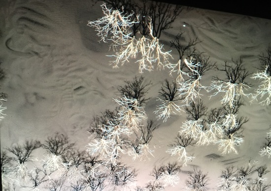 The_Earth and TheElements_Georgia-Wallace-Crabbe,Vertigo_Sea_John_Akomfrah_Bonita_Ely_Tamara_Dean_Richard_Kingsford-8505