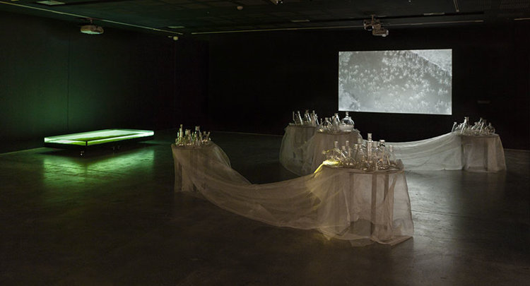 Janet Laurence and Andrew Belletty, River Journey, 2016.jpeg